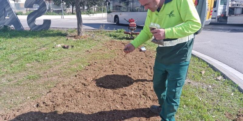 🌿Fundació Iris impulsa la biodiversidad urbana en Sant Vicenç dels Hort🌿