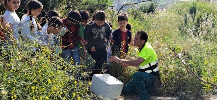 🌱 Impulsem la biodiversitat a l’escola: continuem el projecte de naturalització a l’Escola La Guardia
