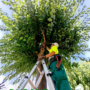 Mantenimiento verde con criterio técnico y responsabilidad social