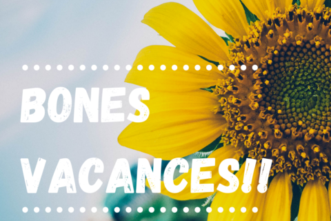 El taller ocupacional marxa de vacances