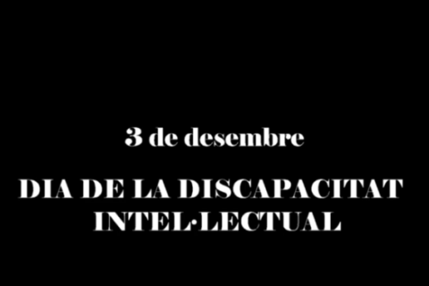 3 de desembre, Dia Internacional de les Persones amb Discapacitat