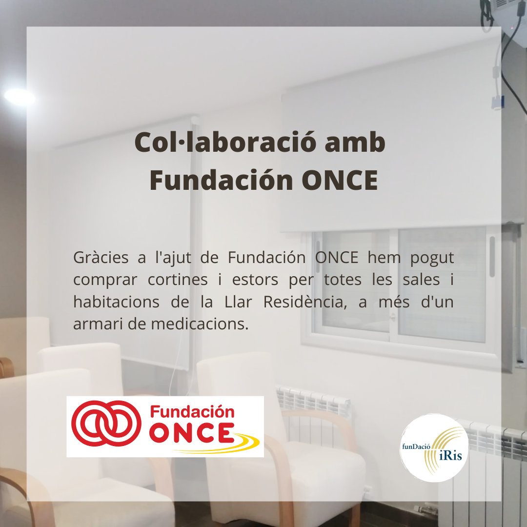 Col·laboració amb Fundación ONCE