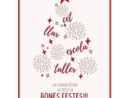 🎄✨ Aquest Nadal, més a prop que mai! ✨🎄