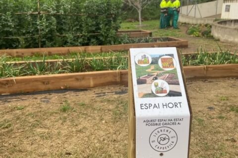 Inaugurem l’hort de l’Espai Vida: un projecte inclusiu i transformador.