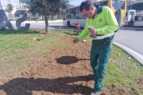 🌱 La sostenibilitat també floreix a les rotondes de Sant Vicenç dels Horts!🌱
