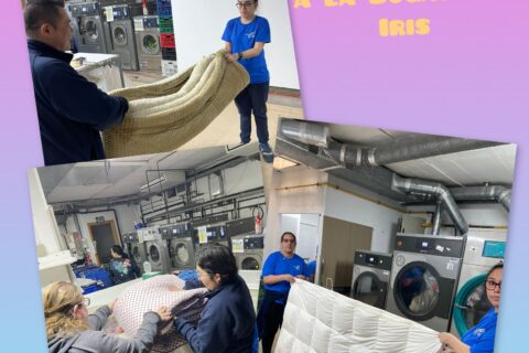 🧺 Rentem el teu edredó amb cura i responsabilitat social