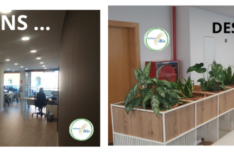 Transformem espais. Transformem mirades.