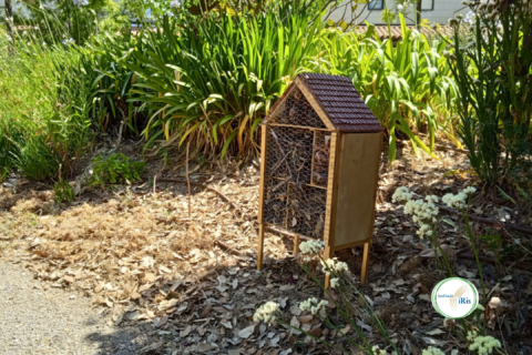 🐞 Assessorament tècnic en el projecte de refugis per a insectes de l’Escola Betània