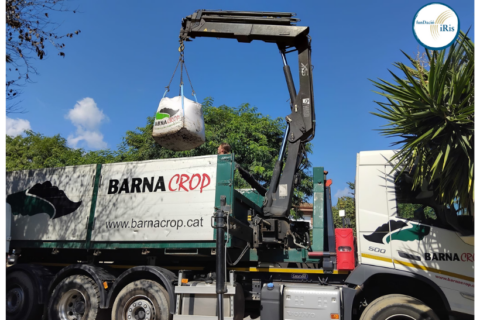 Col·laboració de Barnacrop amb la Fundació Iris per a l’Espai Vida