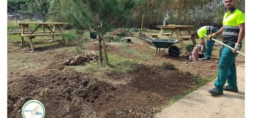 🌿 Un nou espai pren forma al jardí de la Llar Residència