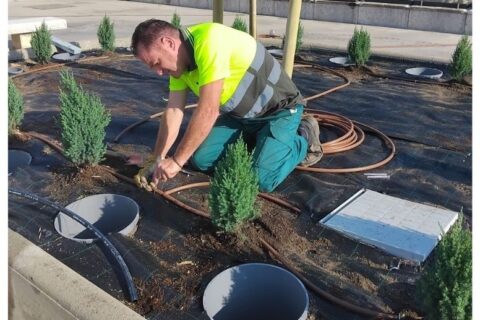 Cuidar la natura, cuidar la memòria