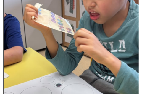 🟣 Treballant la rodona: aprendre des del cercle