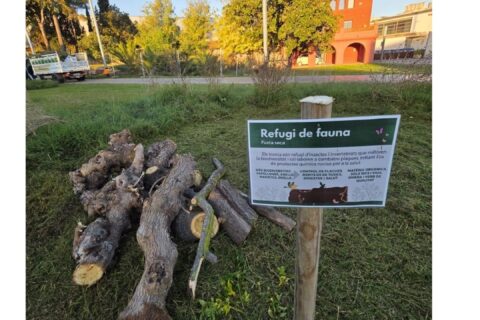 Refugis de fauna: petits espais que generen gran vida