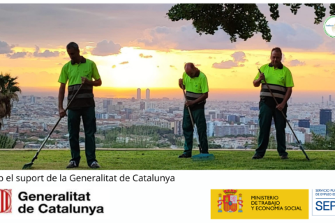 Servei de Jardineria: treball tècnic i especialitzat en el manteniment d’espais verds