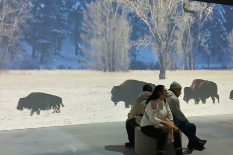 Visita cultural al CaixaForum: una experiència per connectar amb la biodiversitat