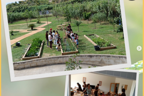 Educació ambiental, territori i inclusió: una línia de treball de la Fundació Iris