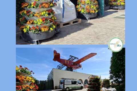 Treballs de plantació del servei de jardineria del CET Iris al parc del Tibidabo