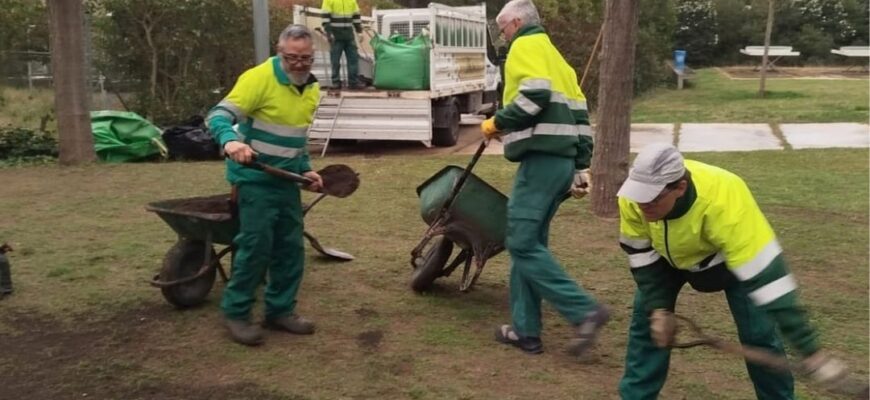 Treballs de recuperació de la gespa a la piscina de la Blava