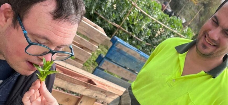 Descobrint les plantes aromàtiques al jardí sensorial de la Fundació Iris